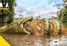 VDO SUCURI: O Fantasma Gigante das Águas Documentário Amazônia
