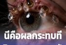 👁นี่คือผลกระทบที่อาจเกิดขึ้นจากการนอนกับหมอนและเครื่องนอนที่ไม่สะอาดนานเกินไป